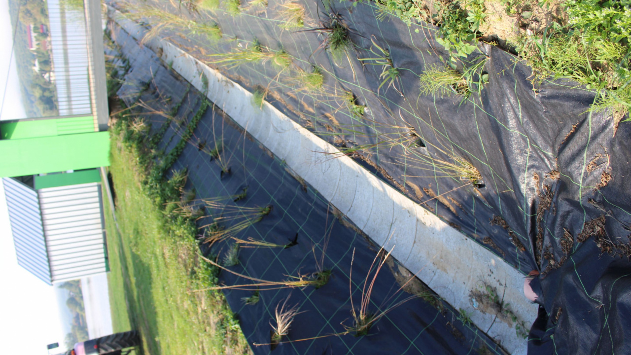 Fotografia fotogalérie Oddychovo-rekreačná zóna na brehu vodnej nádrže Malá Domaša - 2. etapa